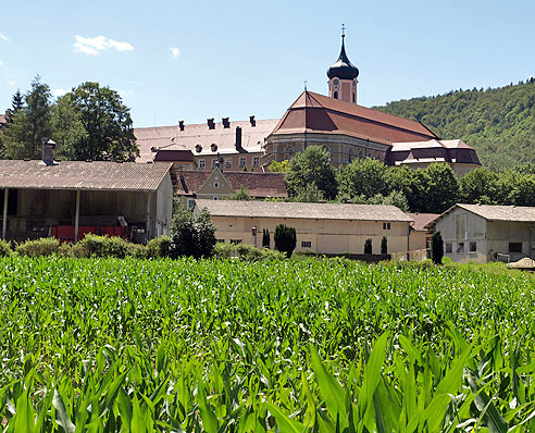 Donauversinkung bei Fridingen