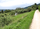 Radweg an der Donau