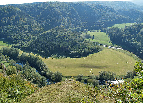 Blick auf die Schleifen beim Donaudurchbruch