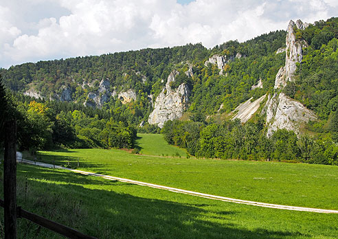 Donauversinkung bei Fridingen