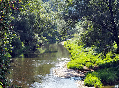 Donauversinkung bei Fridingen