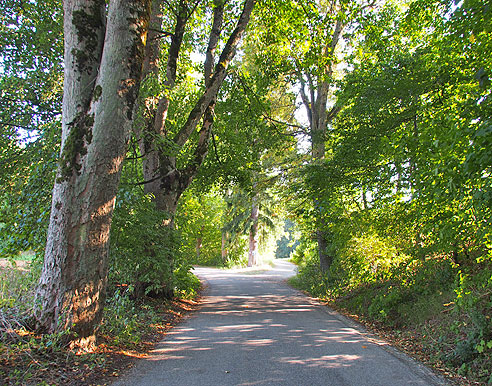 Radweg zum Kloster