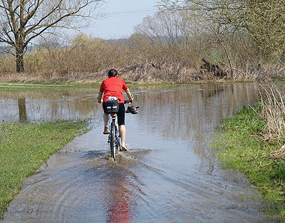 Brücke über die Schwarzach