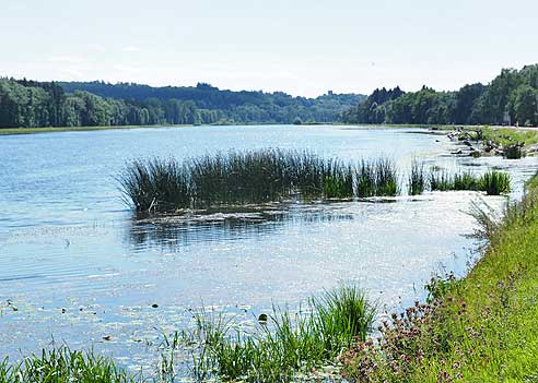 Revitalisierung des Staubereiches