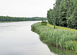 Donau bei Gremheim