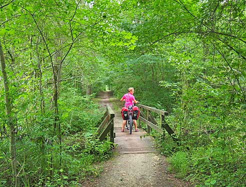 Im Wald vor Dillingen
