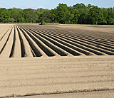 Felder in Richtung Pförring