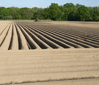 Felder in Richtung Pförring