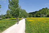 Radweg durchs Blütenmeer