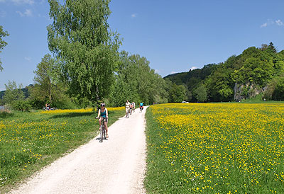 Radweg durchs Blütenmeer
