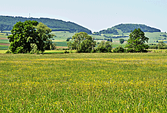 Weites Donautal