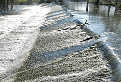 Wehranlage bei Rottenacker