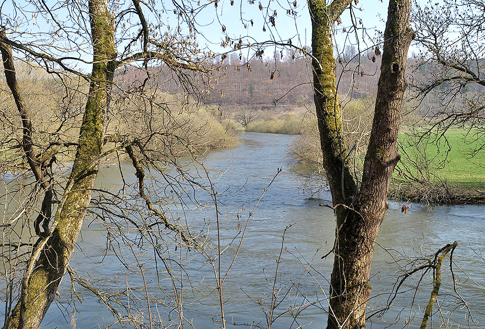 Wilde Donau hinter Sigmaringen