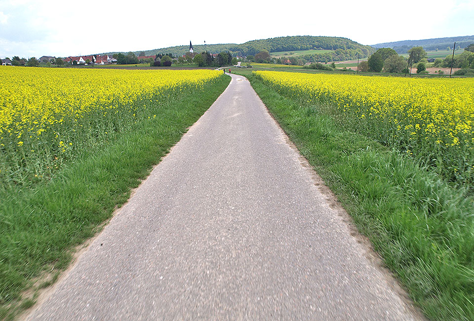 Blick auf Riedensheim