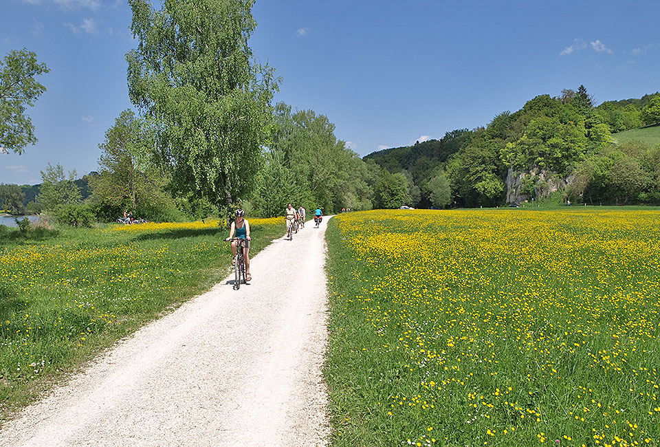 Radweg durchs Blütenmeer