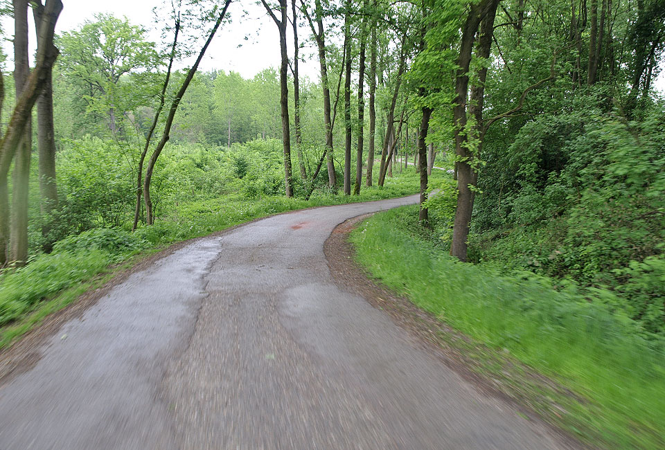 Der Radweg führt dann durch lichte Wälder