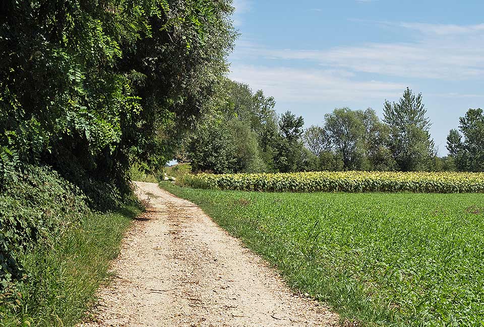 Drauradweg