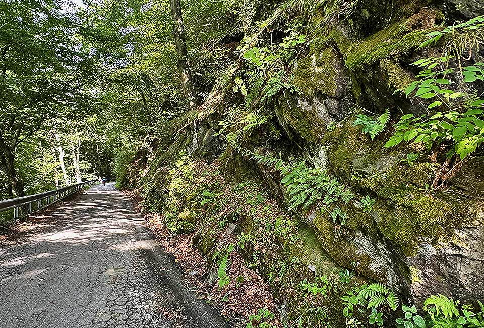 Drauradweg