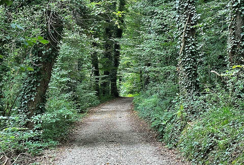 Drauradweg