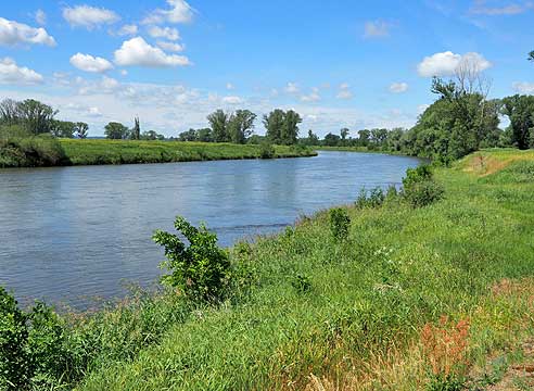 Blick auf die Moldau