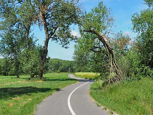 Zweispuriger Radweg