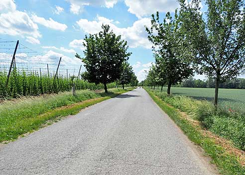 Radweg auf der Straße