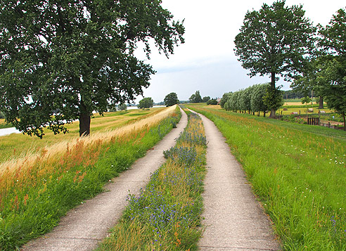 Bei Besandten