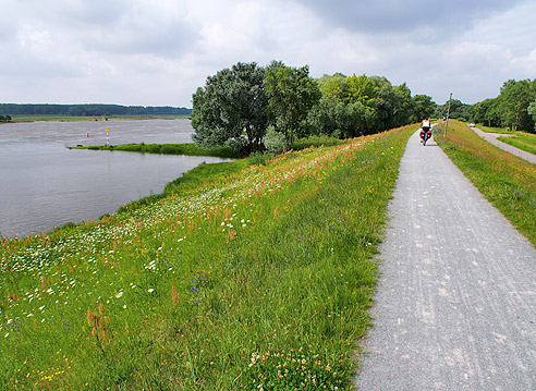 Radweg auf dem Damm