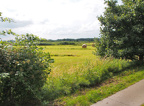 Naturschutzgebiet Kirchwerder Wiesen