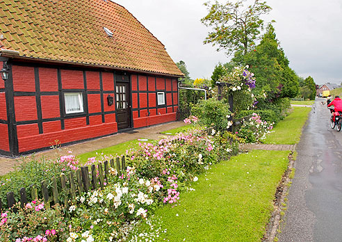 Schöner Radweg am Damm