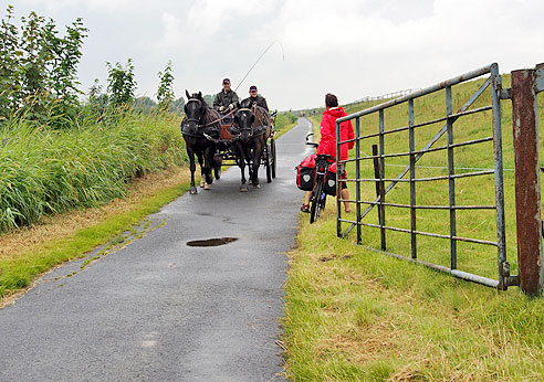 Schöner Radweg am Damm