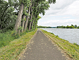 Radweg an der Elbe