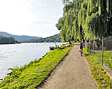 Uferweg an der Elbe