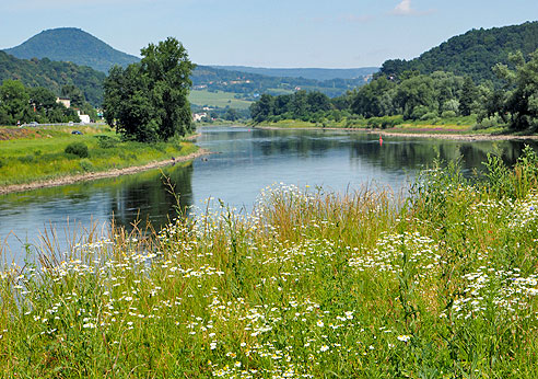 Weite Sicht auf den Veraluf der Elbe