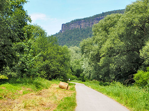 Zum Uferweg an der Elbe