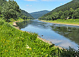 Blick auf die Elbe