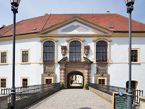 Blick vom Elbufer auf das Schloss Decin