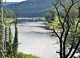 Blick auf die Elbe