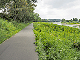 Radweg bei Heidenau