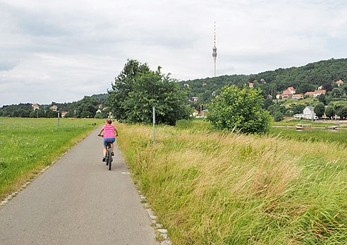 Radweg auf der linken Elbseite
