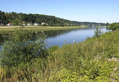 Die Elbe gibt sich gemächlich