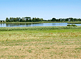Dippelsdorfer Teich