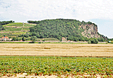 Weinberge an der sächsichen Weinstraße