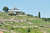 Weingut Schloss Wackerbarth