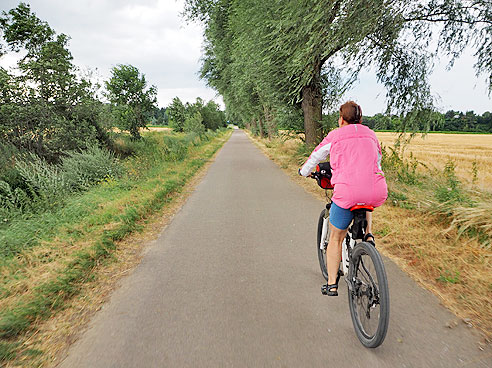 Durch einen Alleenweg