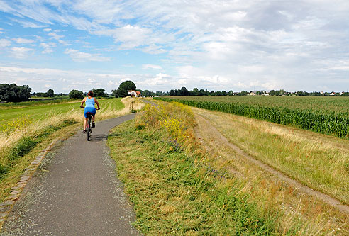 Radweg auf dem Damm