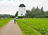 Windmühle bei Grödel