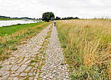 Pflasterweg