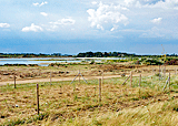 Baggersee bei Dröschkau