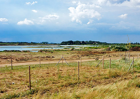 Baggersee bei Dröschkau